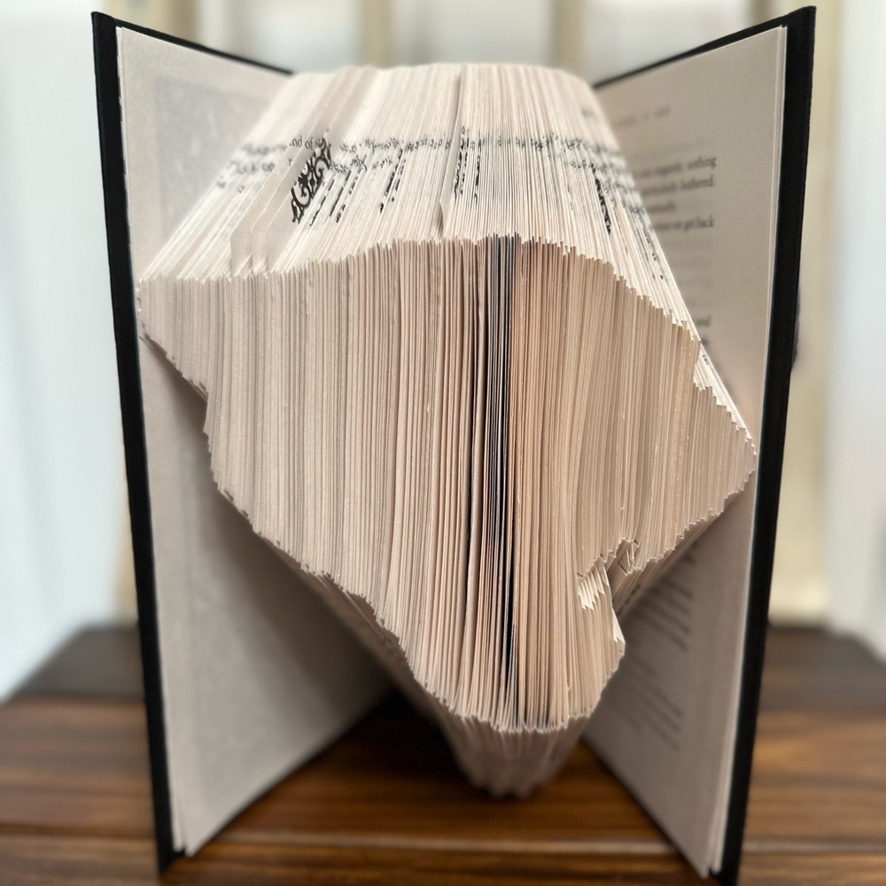 Jax. Jaguars Folded Book Art